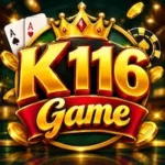 K116 Game