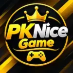 PKNice Game